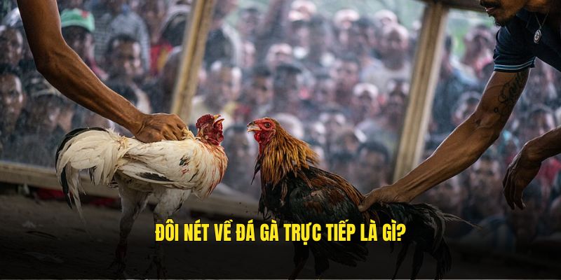 da-ga-truc-tiep-la-gi-gioi-thieu-bj88